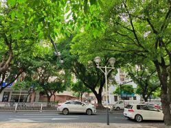 -章光101防脱养发荟