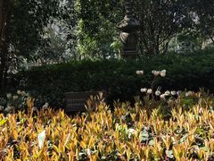 -灵隐飞来峰景区