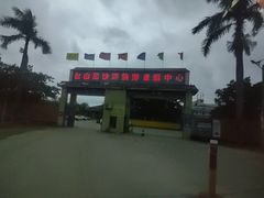 -台山黑沙湾海浴场