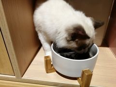 -dotcom coffee古点咖啡(致真大厦店)
