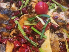 -老板恋上鱼(恒隆广场店)