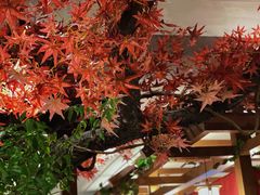 大堂-明洞阿姨·韩式酱蟹烤肉·创意料理(三元桥店)