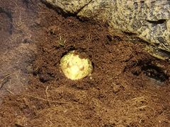 -梦幻海洋王国(吾悦广场张家港店)