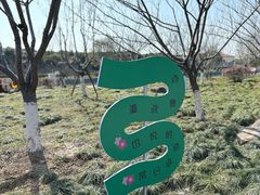-高东镇樱花园