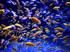 -成都浩海立方海洋公园