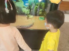 -屯门公园