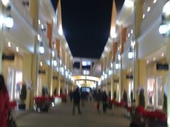 -Max Mara(王府井奥莱·香江小镇店)