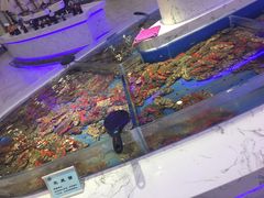 -澜悦港海鲜体验主题餐厅