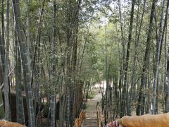 -巨石山景区