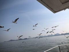 -海驴岛(荣成市)