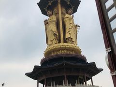 -溱湖国家湿地公园