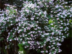 -国家植物园