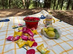 -北京西山国家森林公园