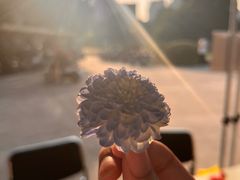 -安徽大学(龙河校区)