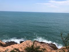 -广东惠东海龟国家级自然保护区