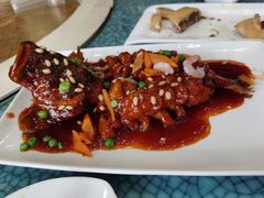松子鲈鱼-新恬乐大酒家(沧达大厦店)