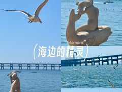 -黑石礁公园