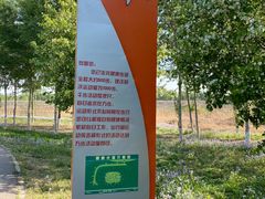 -东郊湿地公园