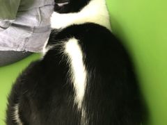 -美迦爱-牙专科·兔科·骨科诊疗中心(北苑店)