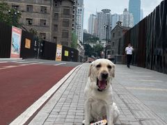 -重庆十八梯传统风貌区