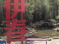 -汤旺河林海奇石景区