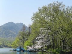 -茅家埠