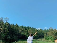 -武陵山森林公园