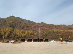 -龙道沟景区
