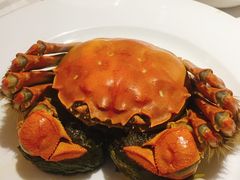 -浦华大酒店-台南担仔面海鲜楼
