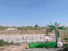 -安德鲁户外烧烤帐篷营地(马泉营店)