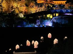 -禅宗少林·音乐大典