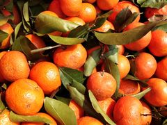 -红星农博物流中心