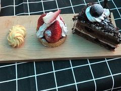 -喵zoo家庭繁育猫舍(尖东智能花园店)