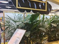 -必胜客(桐梓坡店)