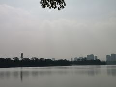 -松山湖梦幻百花洲