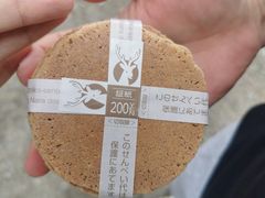 -奈良公园