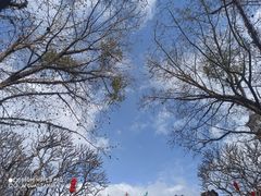 -国恩寺