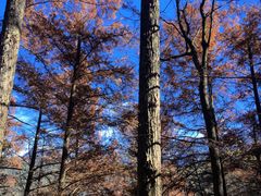 -九华山风景区月身宝殿