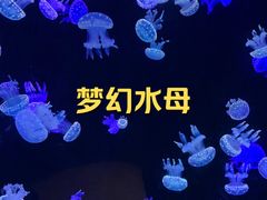 -欢乐海岸海洋奇梦馆