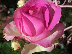 -人民公园(罗湖区)