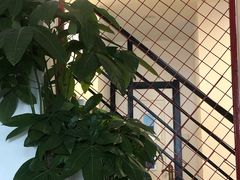 -Kpasta韩式意大利面