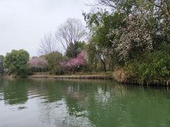 -西溪国家湿地公园