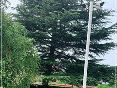 -台儿庄大战纪念馆