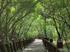 -野三坡百里峡景区