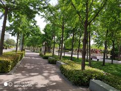 -郑州植物园