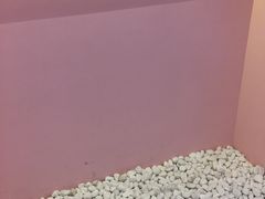 -狐狸和向日葵(北京路店)