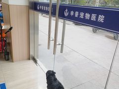-申普宠物医院·眼科·心内科·影像科(普陀分院)