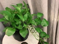 -宴昆山·私房菜(春晖店)