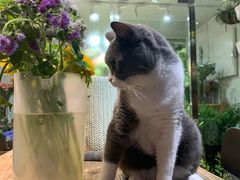-花十悦·鲜花咖啡餐厅(振业城一期店)
