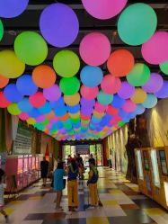 -宝燕乐园(闵行旗舰店)